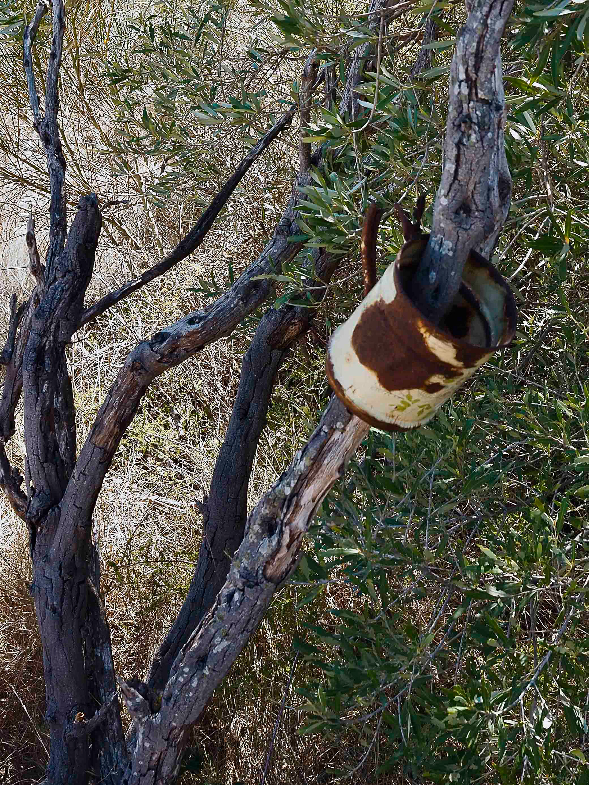 Empreinte : déchets