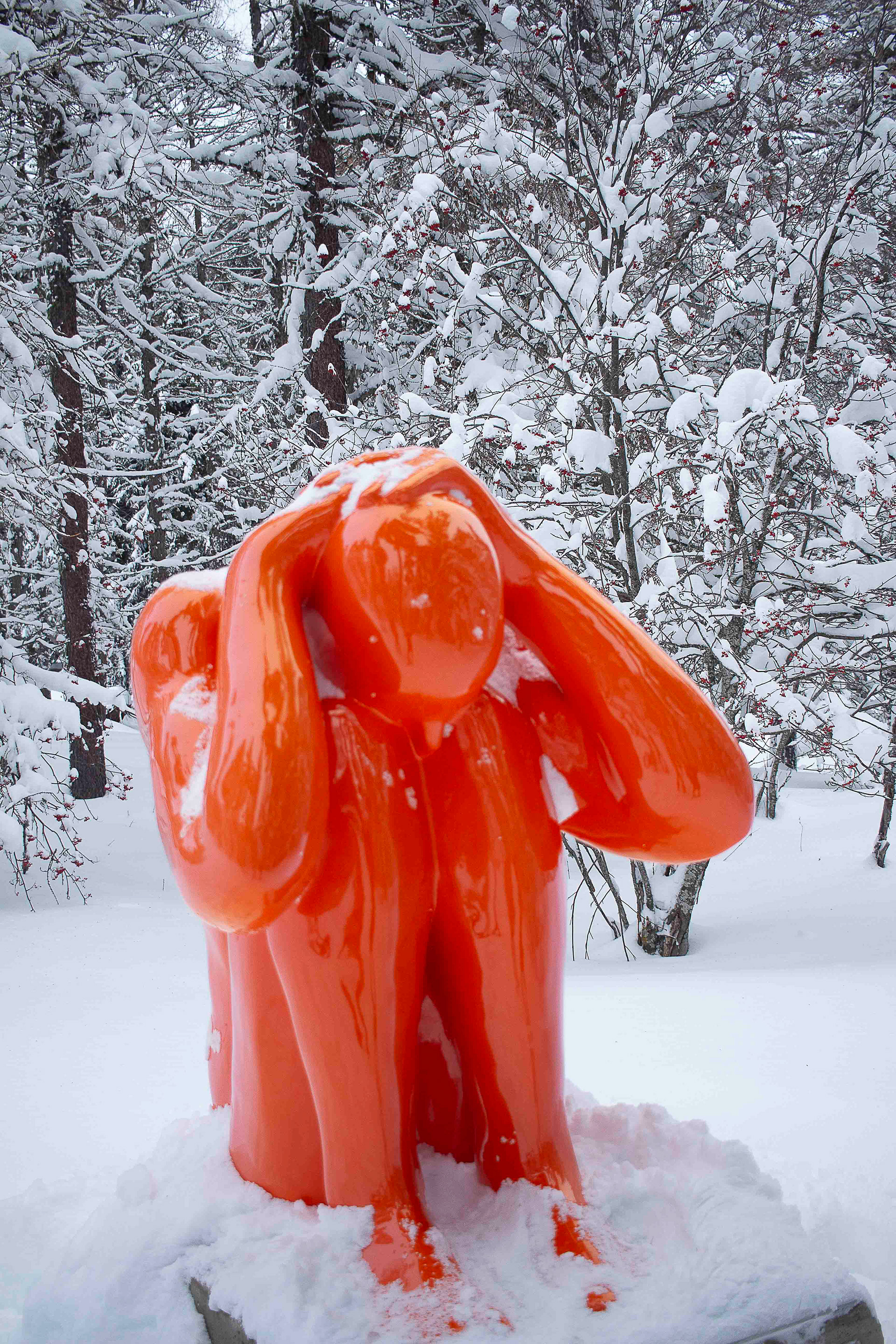 Qu'avons-nous fait ?