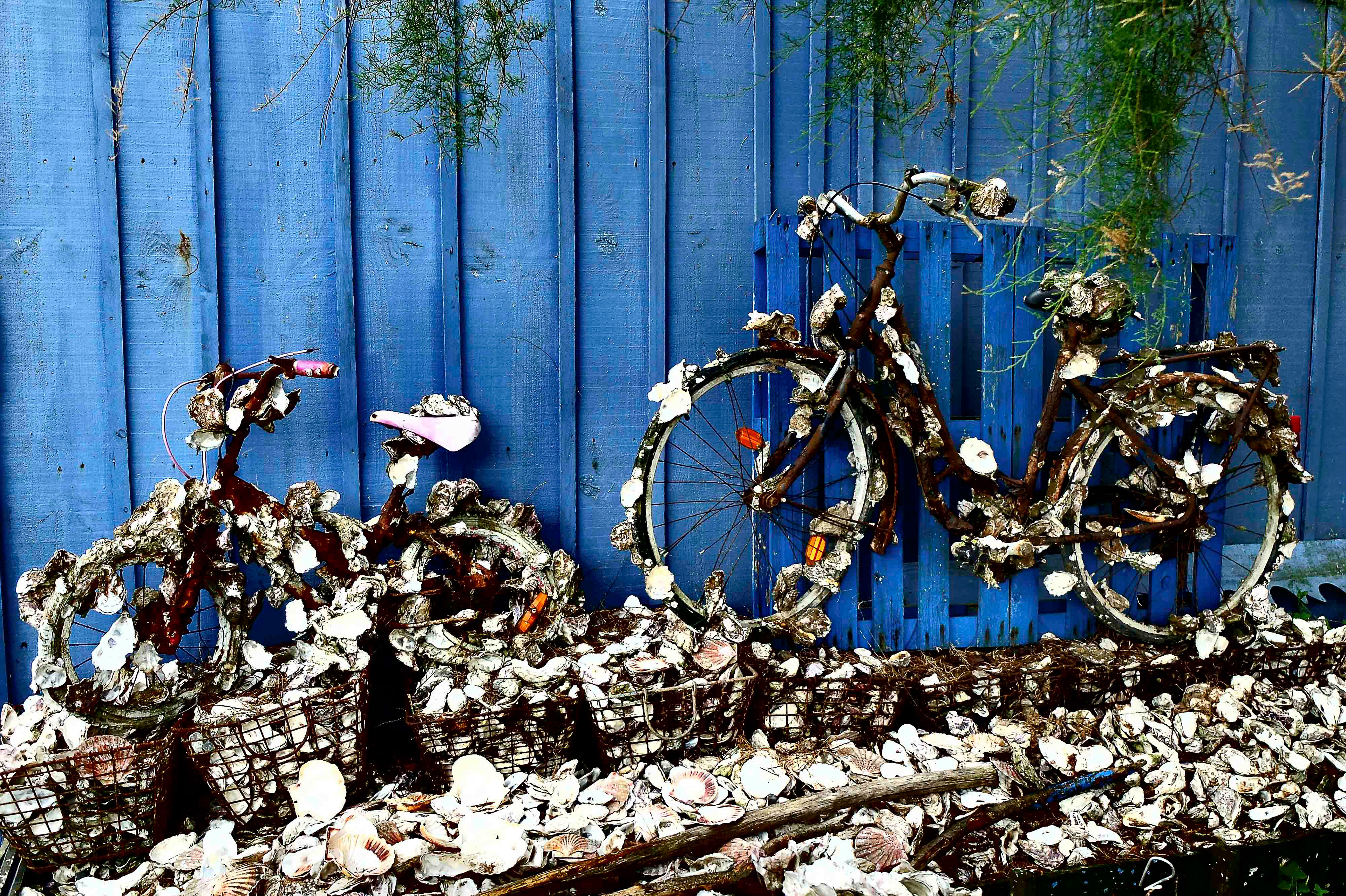 Empreinte : déchets