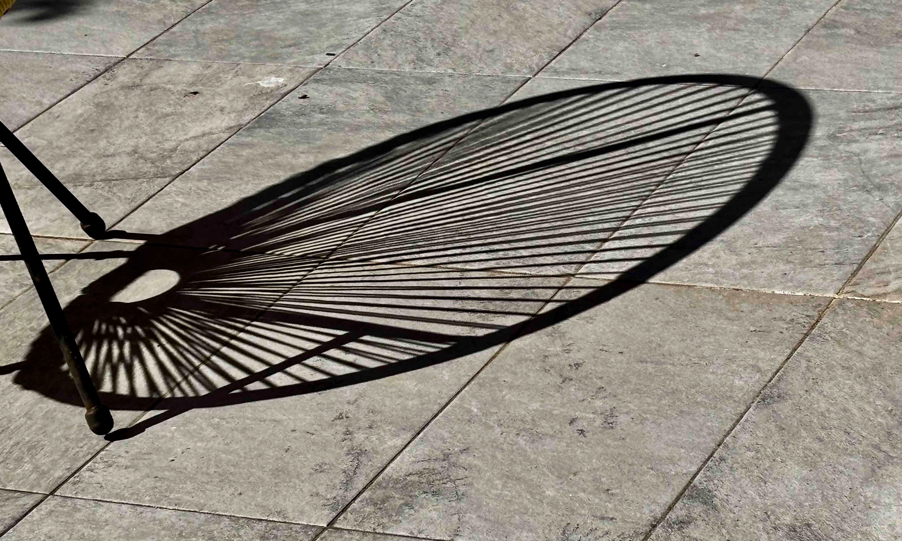 Ombre&Lumiere _Tv 1-5000 s à f - 1,6 _ ISO 40  - 5.96 mm _Normal Motif  Annie-Claude.