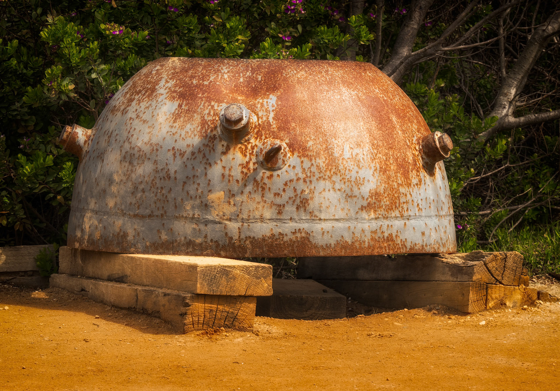 Japanese mine