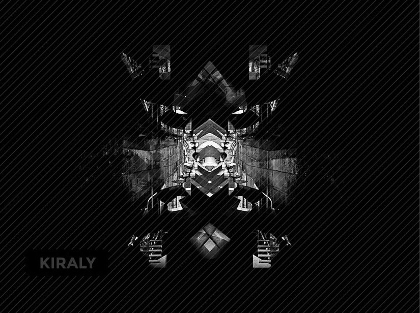 Wolf image formed from various bridge photos