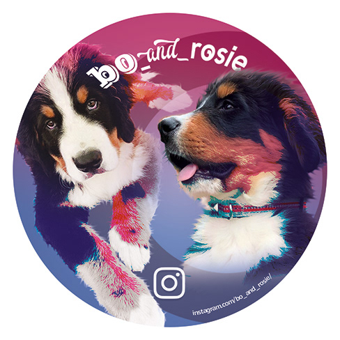 Instagram branding