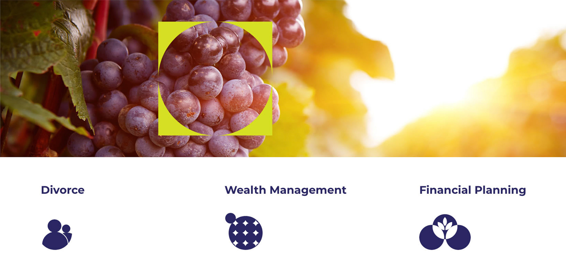 Site offerings infographic