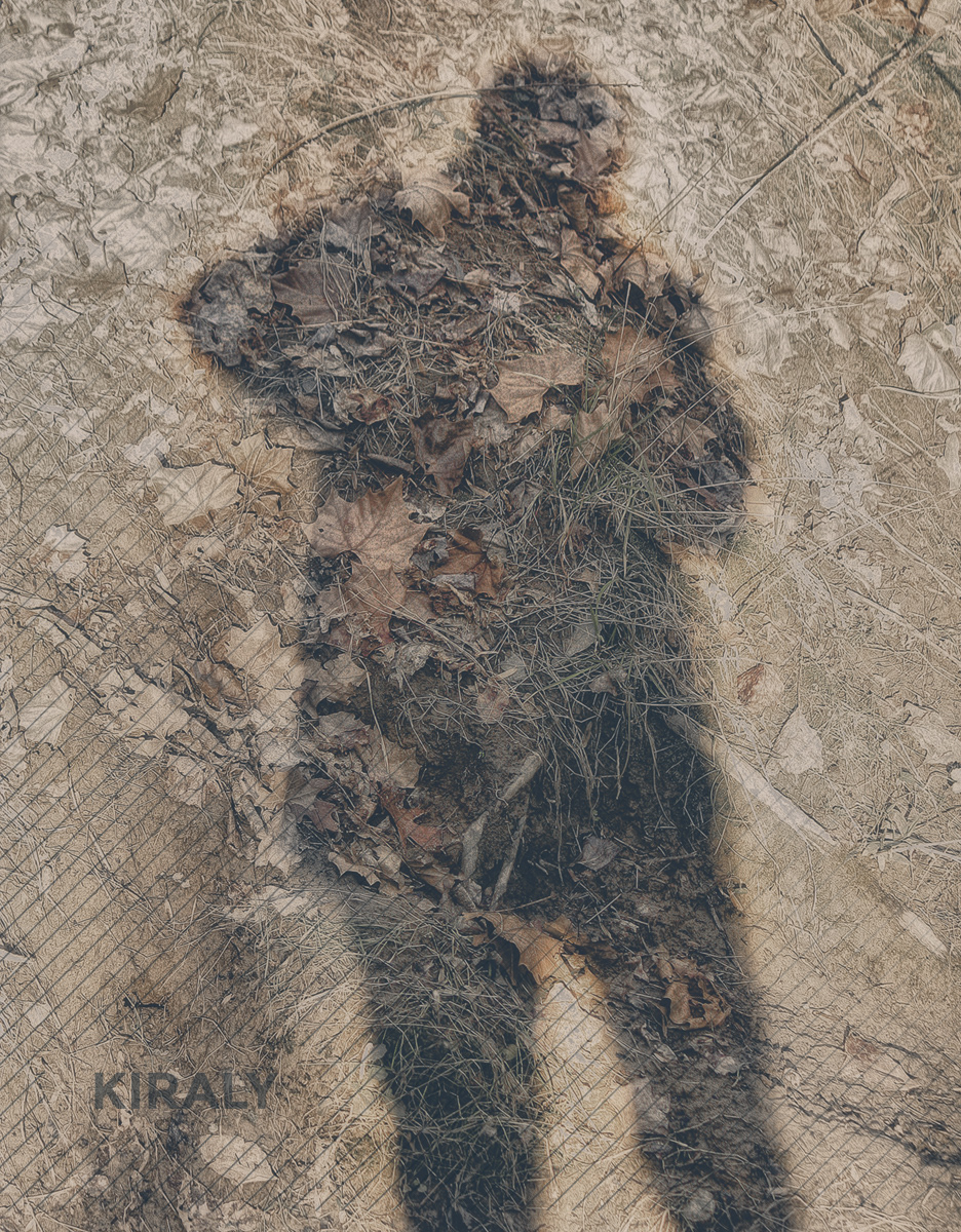 Photo of shadow cast against a river bank