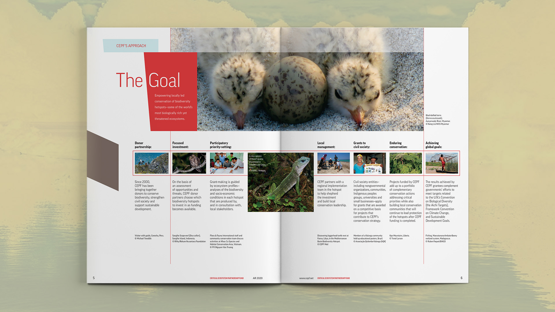Spread listing the goals and approaches conducted by CEPF with sample pictures of environments impacted