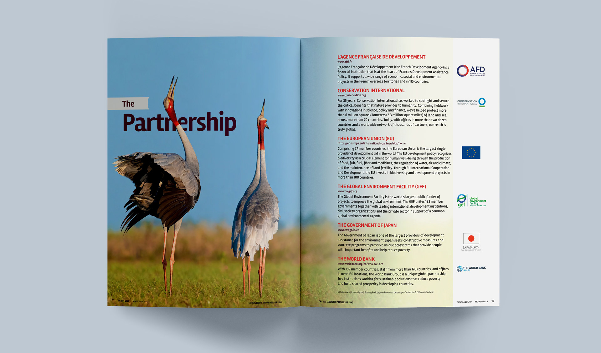 Partnership spread featuring summaries of supporting organizations and a full page photo of Sarus Cranes