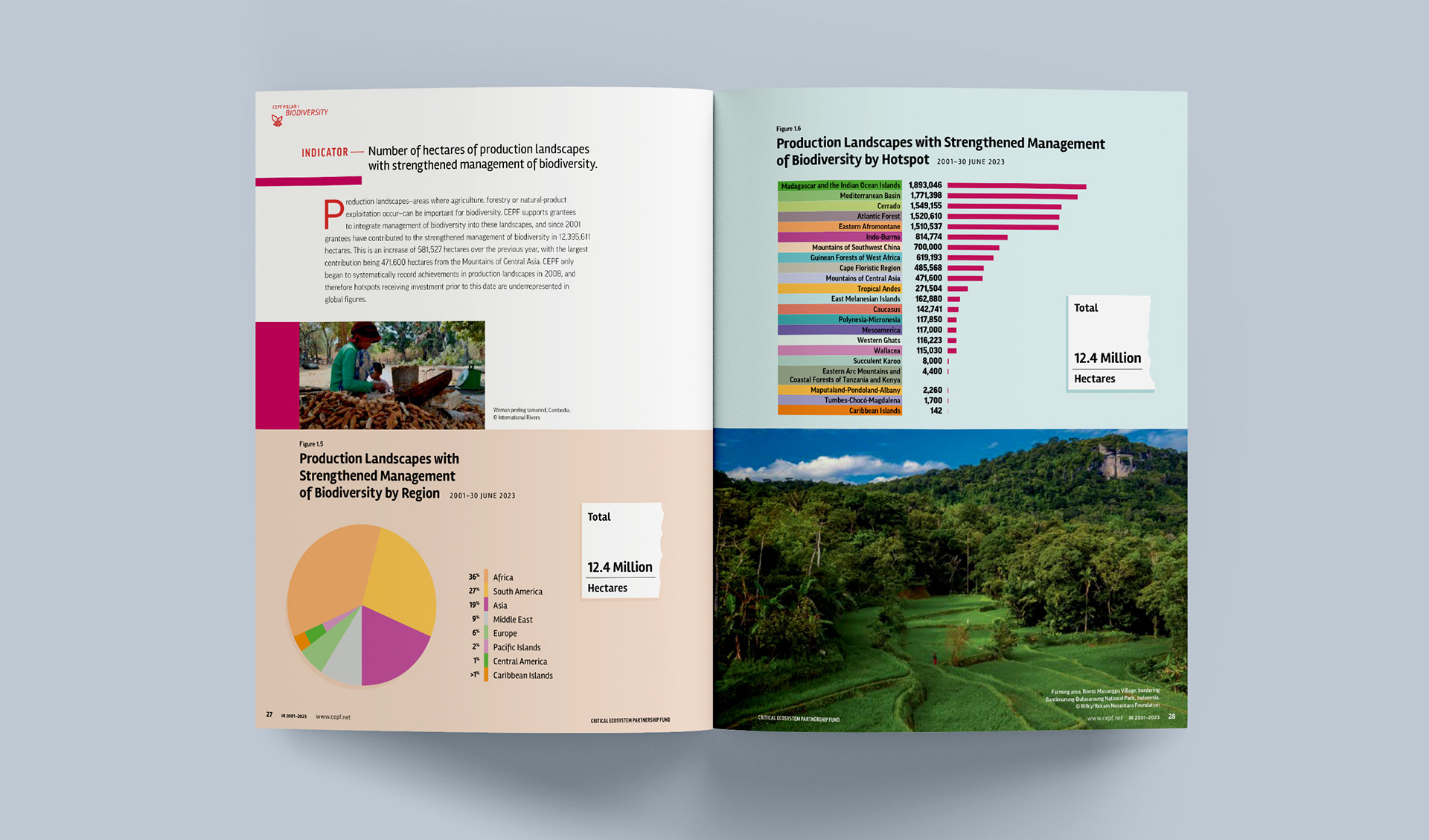 Spread featuring more chart and a photo of a farming area in Indonesia