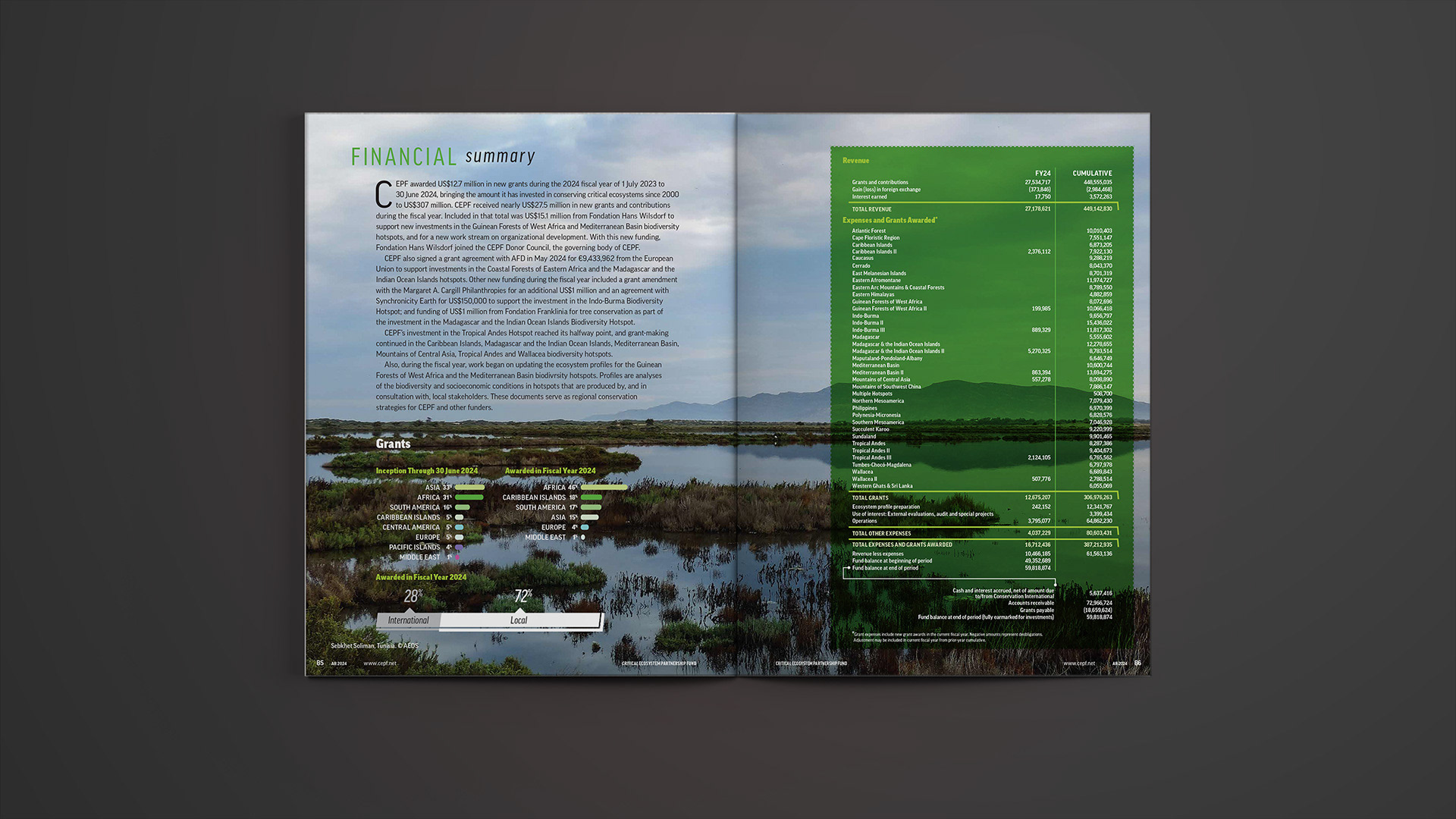 Financial summary spread