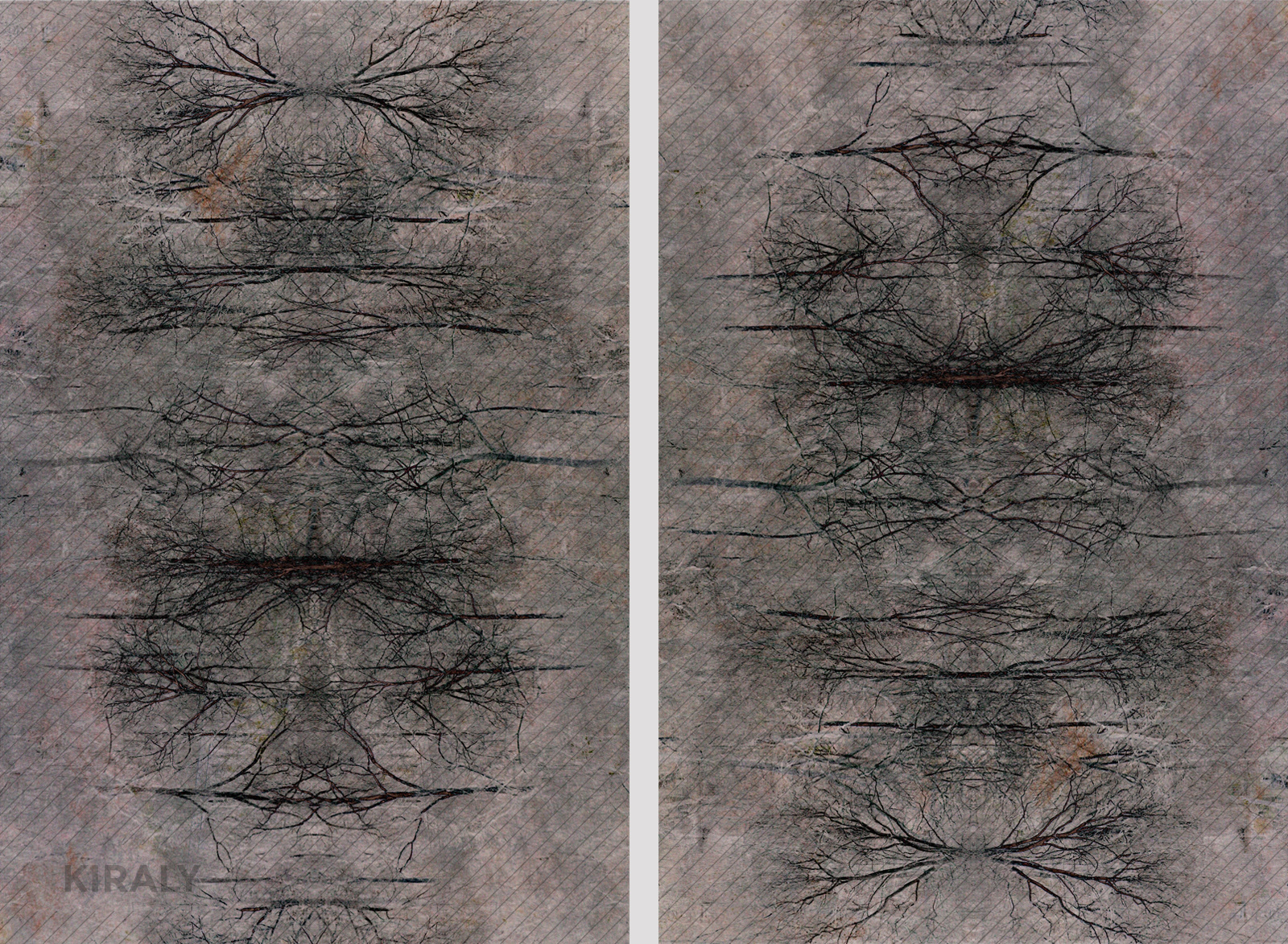 Reflecting wood lines create different visuals