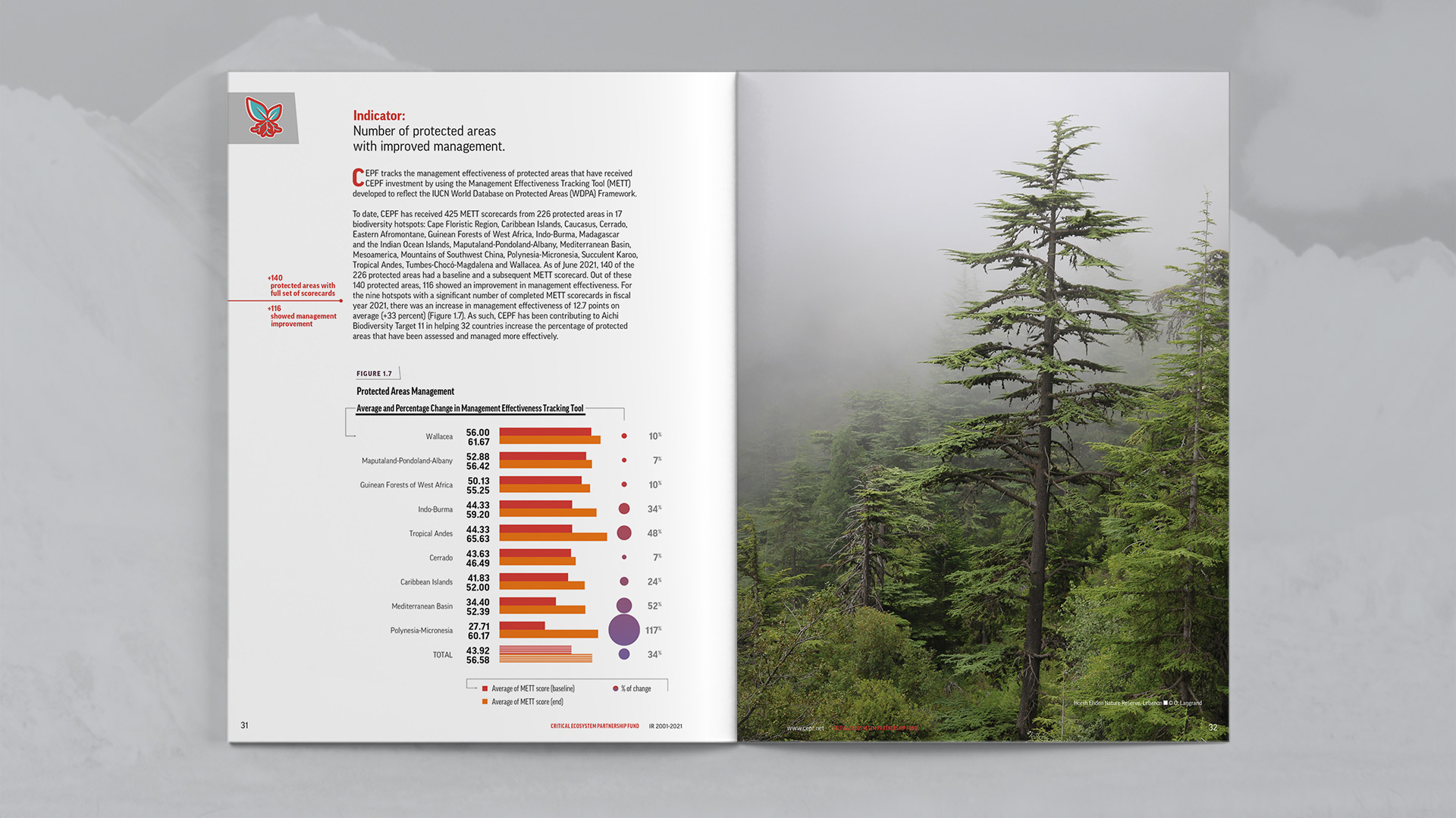 Chart design and Spread Layout