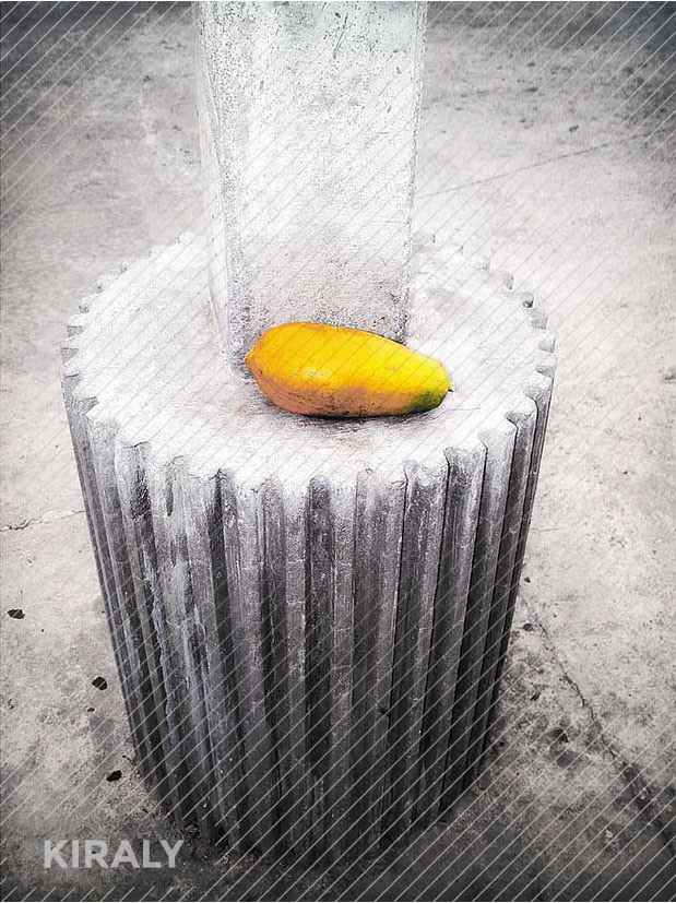 Photo of a Papaya resting on a cog wheel looking concrete base