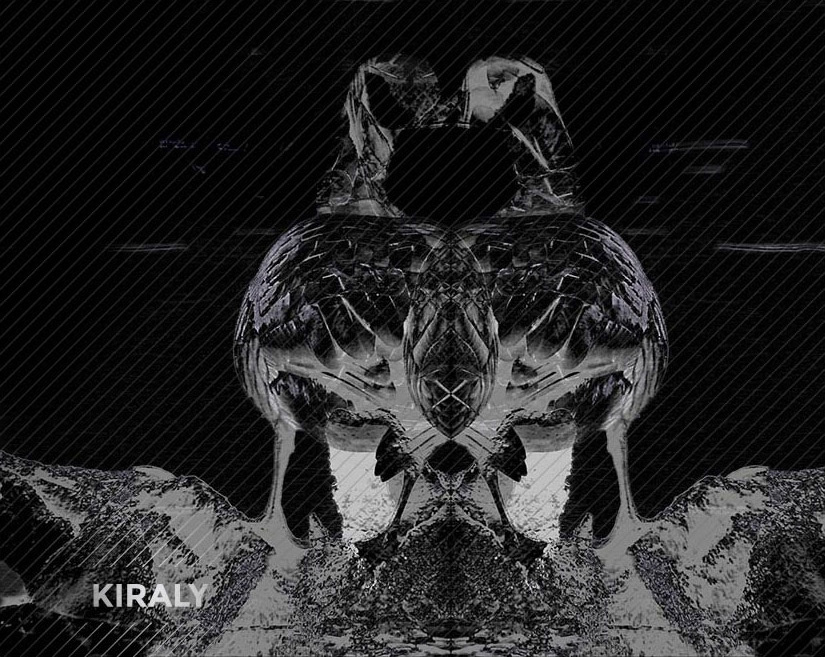 Reversed nature images and repositioned