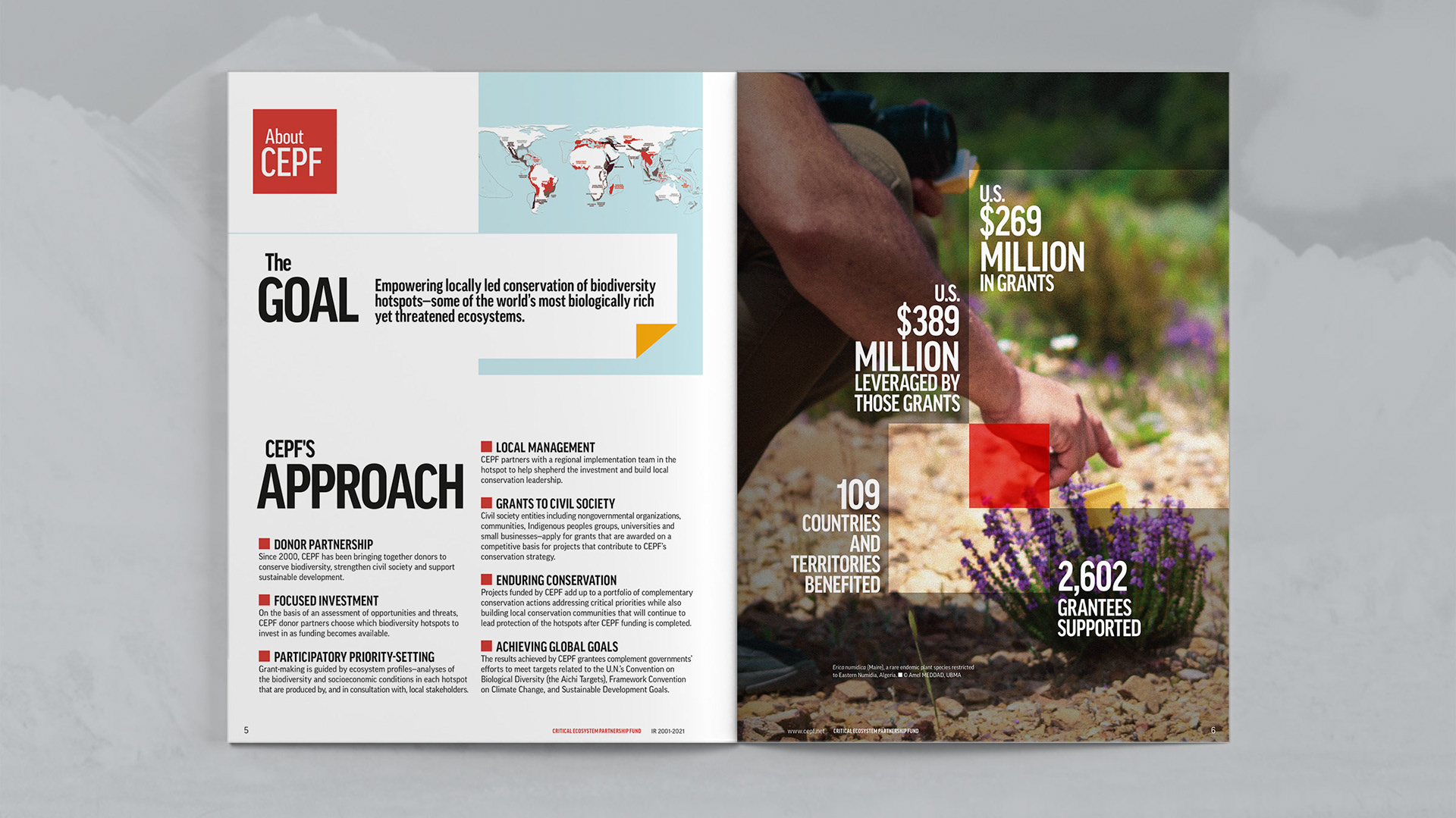 Third spread features the Goal and the Approach that the organization follows