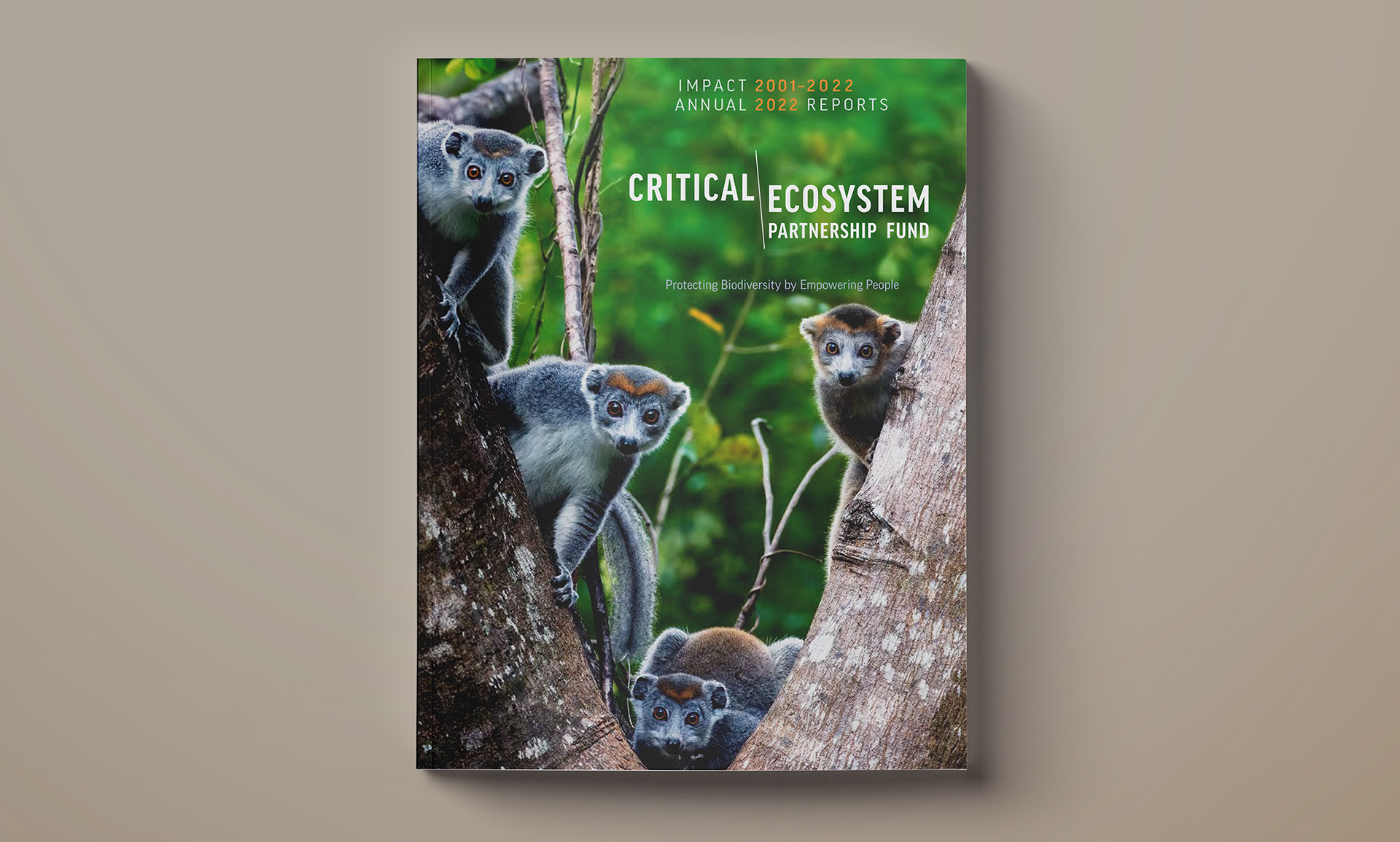 Cover image featuring four Crowned Lemurs