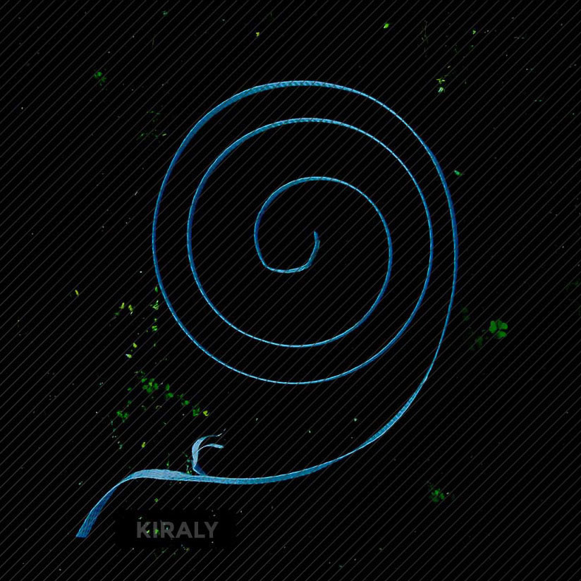 Photo of curled up blue packing strap resting on the ground