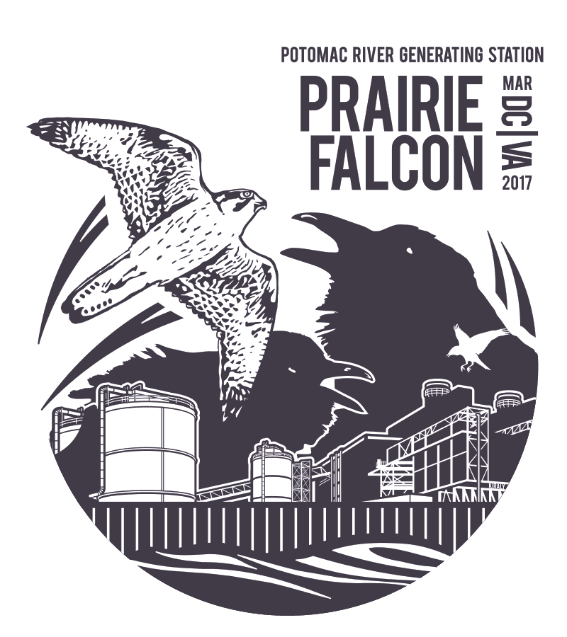 Illustration of a prairie falcon darting around a power plant with some crowing crows in the background