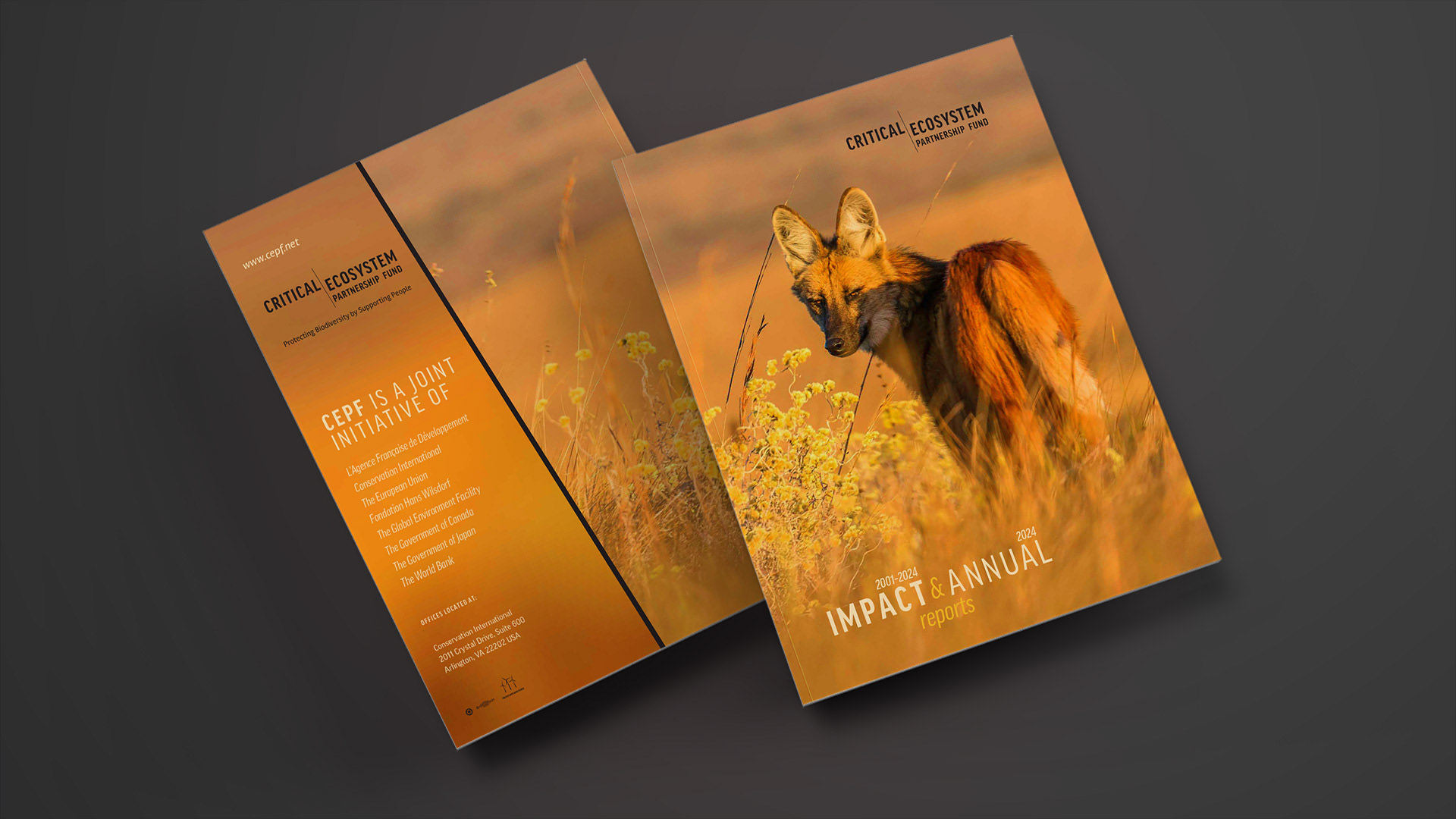 Impact|Annual Report cover featuring a prairie view and a Maned Wolf.
