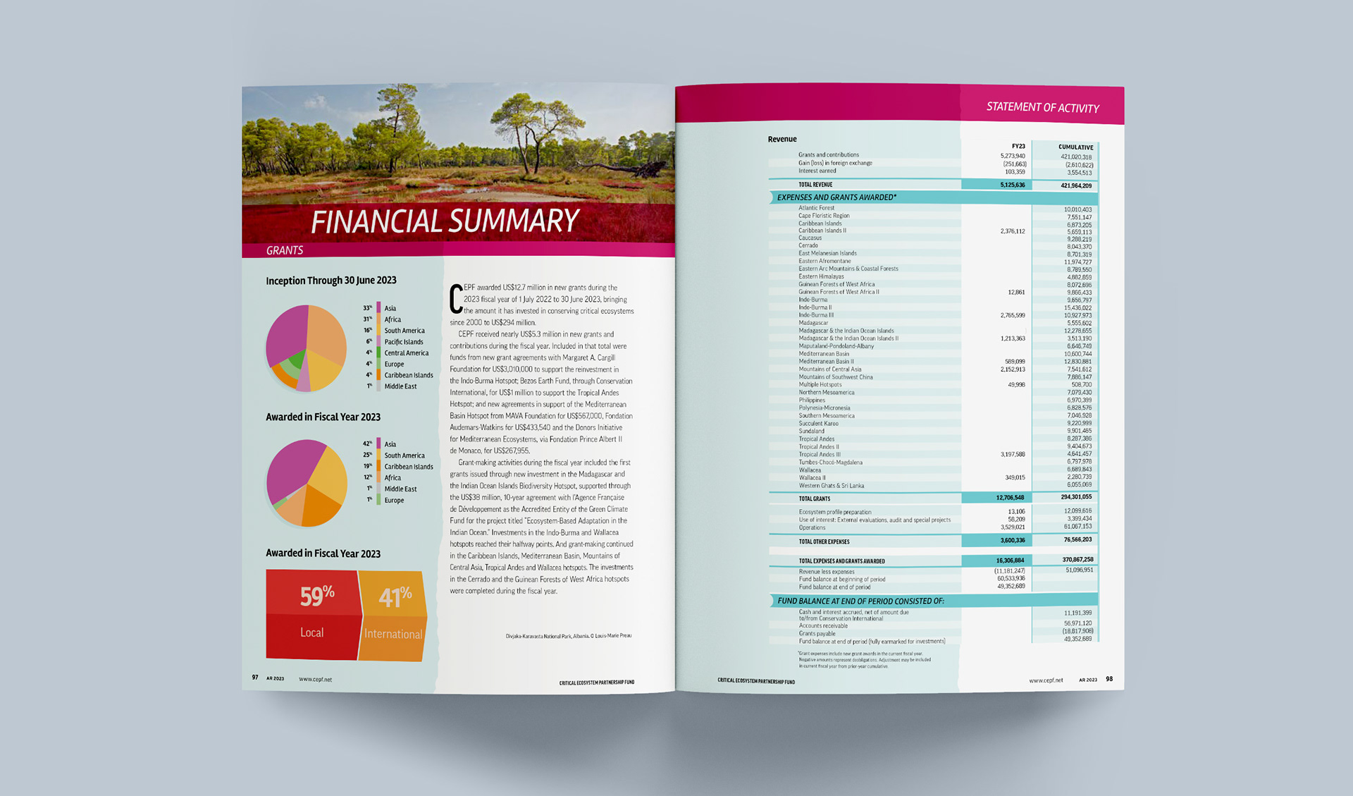 Financial summary and statement of activity spread
