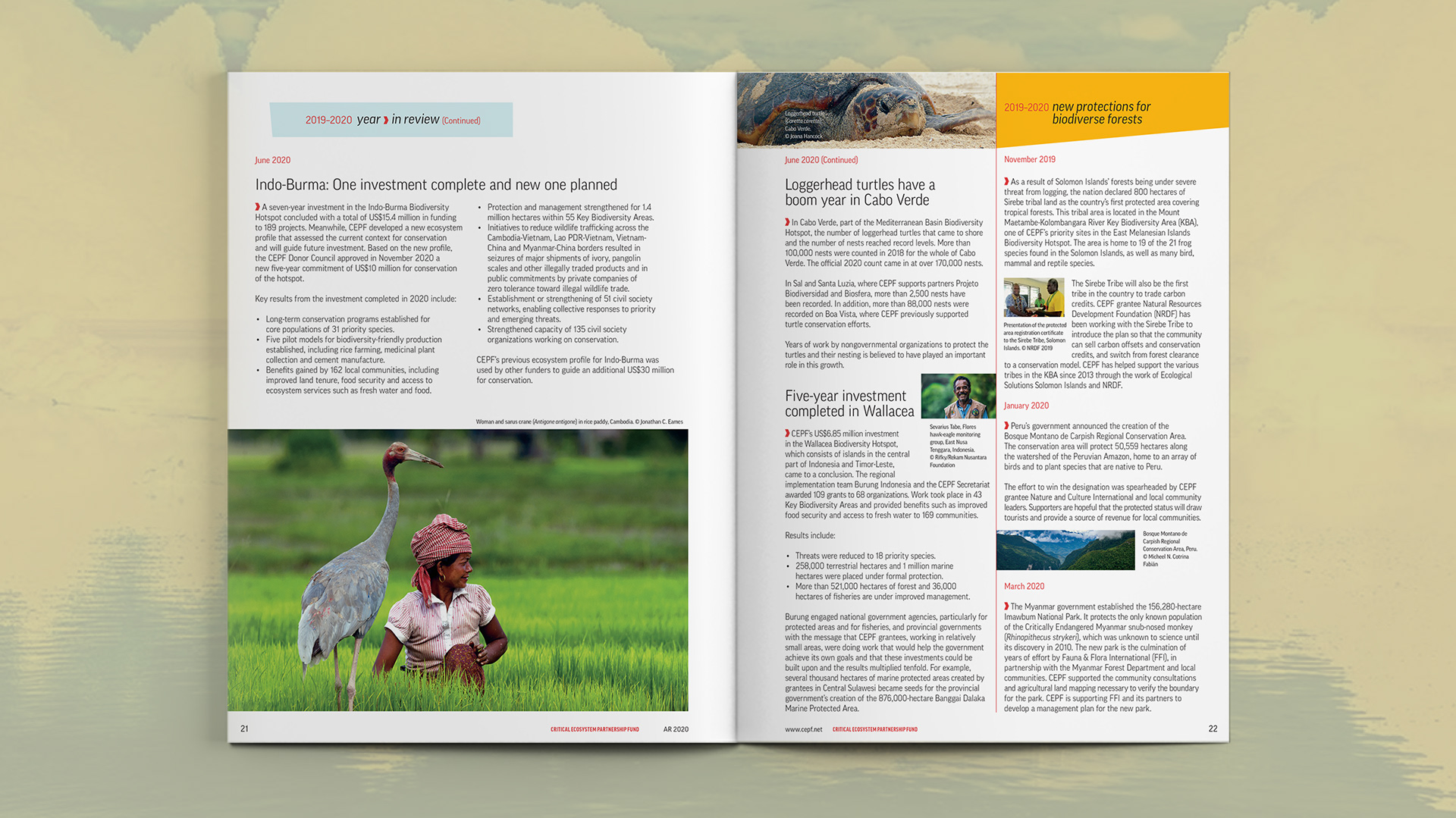Last spread for their Year In Review section and a sidebar of information about new protections for biodiverse forests