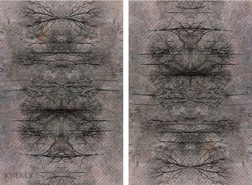 Reflecting wood lines create different visuals