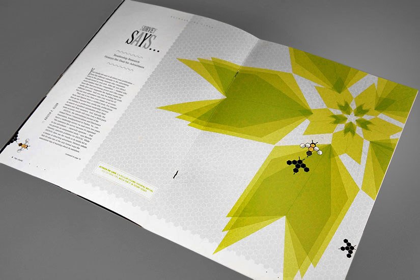 Illustration and Spread Layout