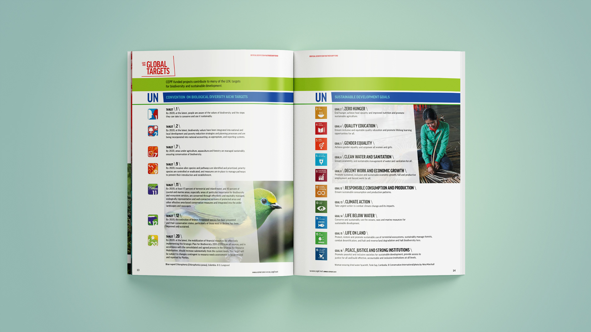 Spread outlining UN target goals