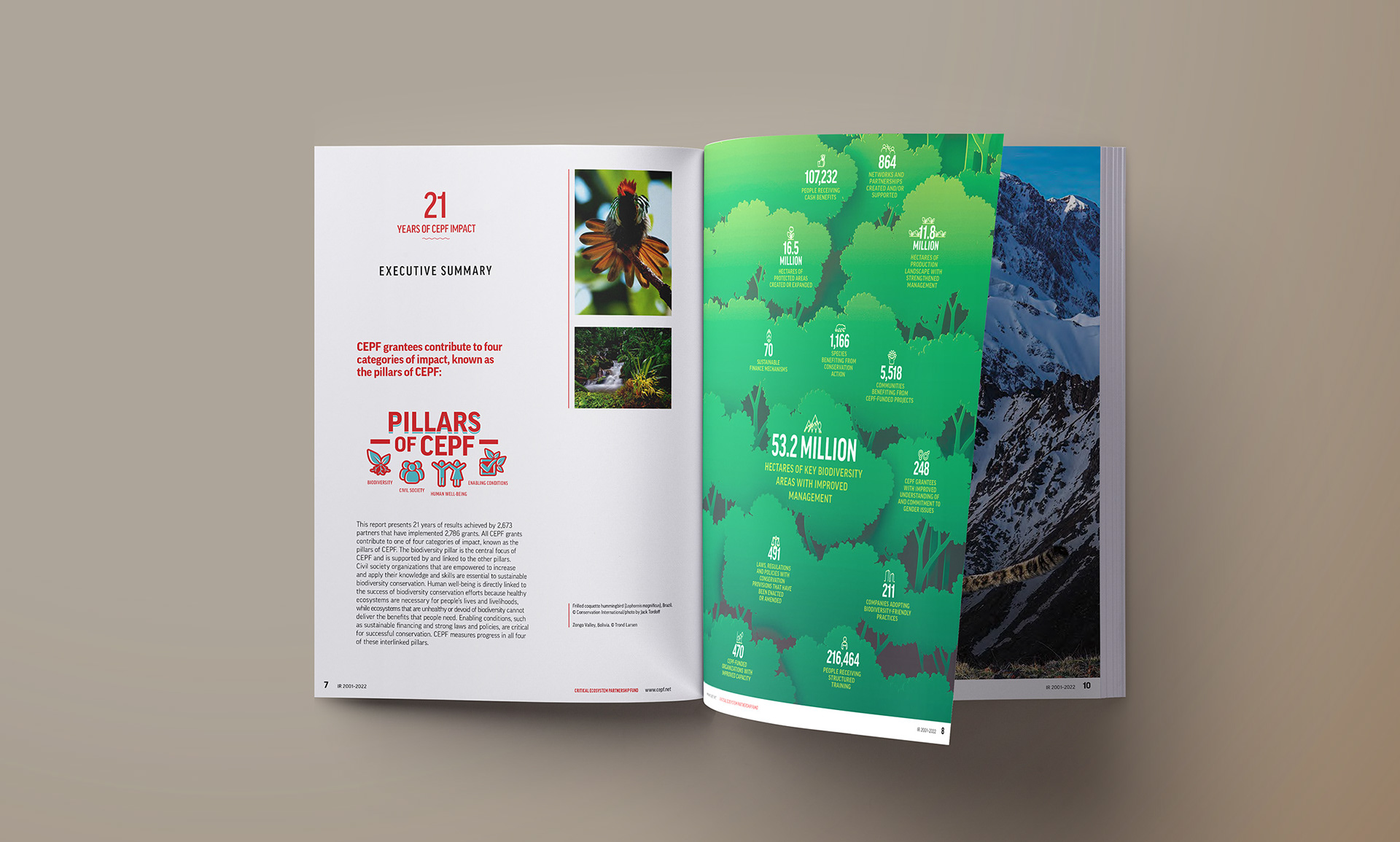 Spread Layout and Icon Illustrations