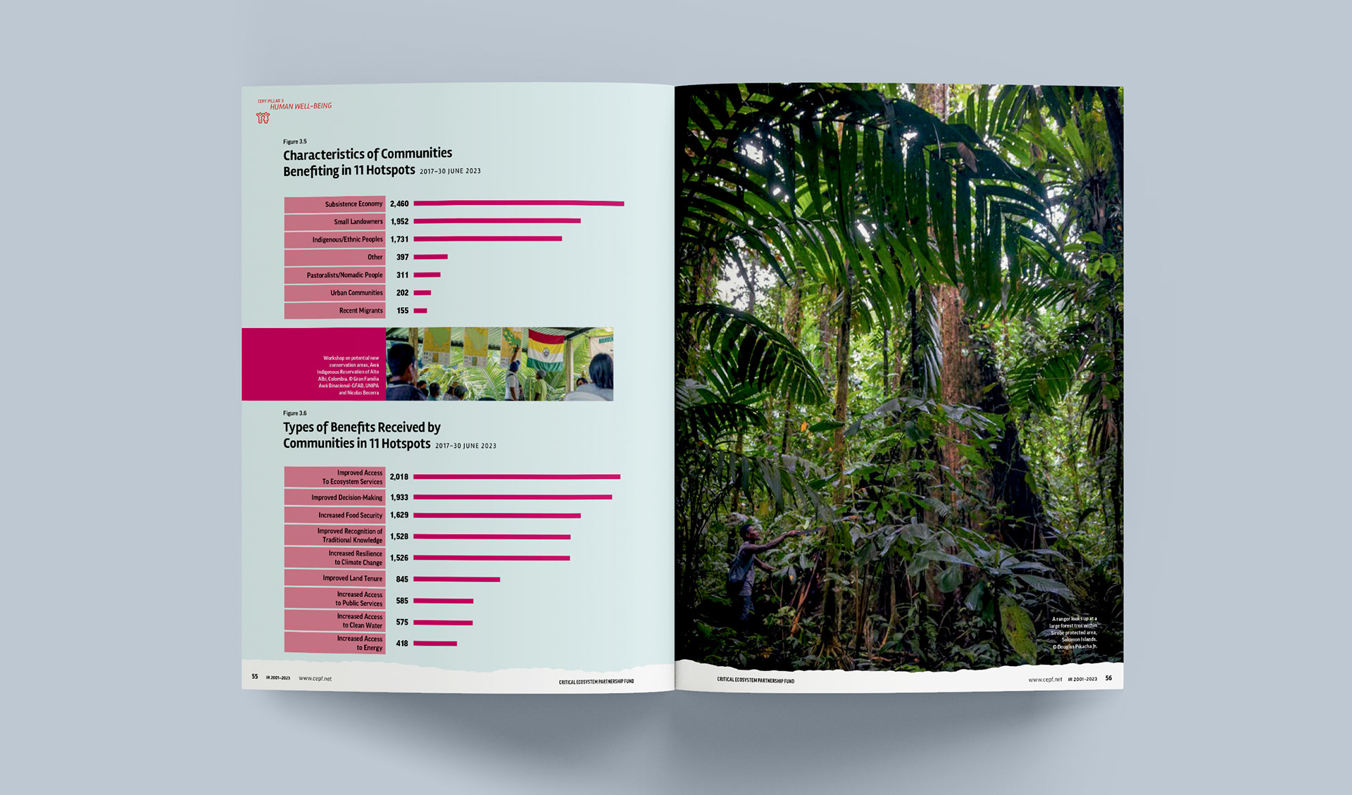 Spread with charts illustrating benefits to communities and a full page photo of a ranger in the forest examining a tree