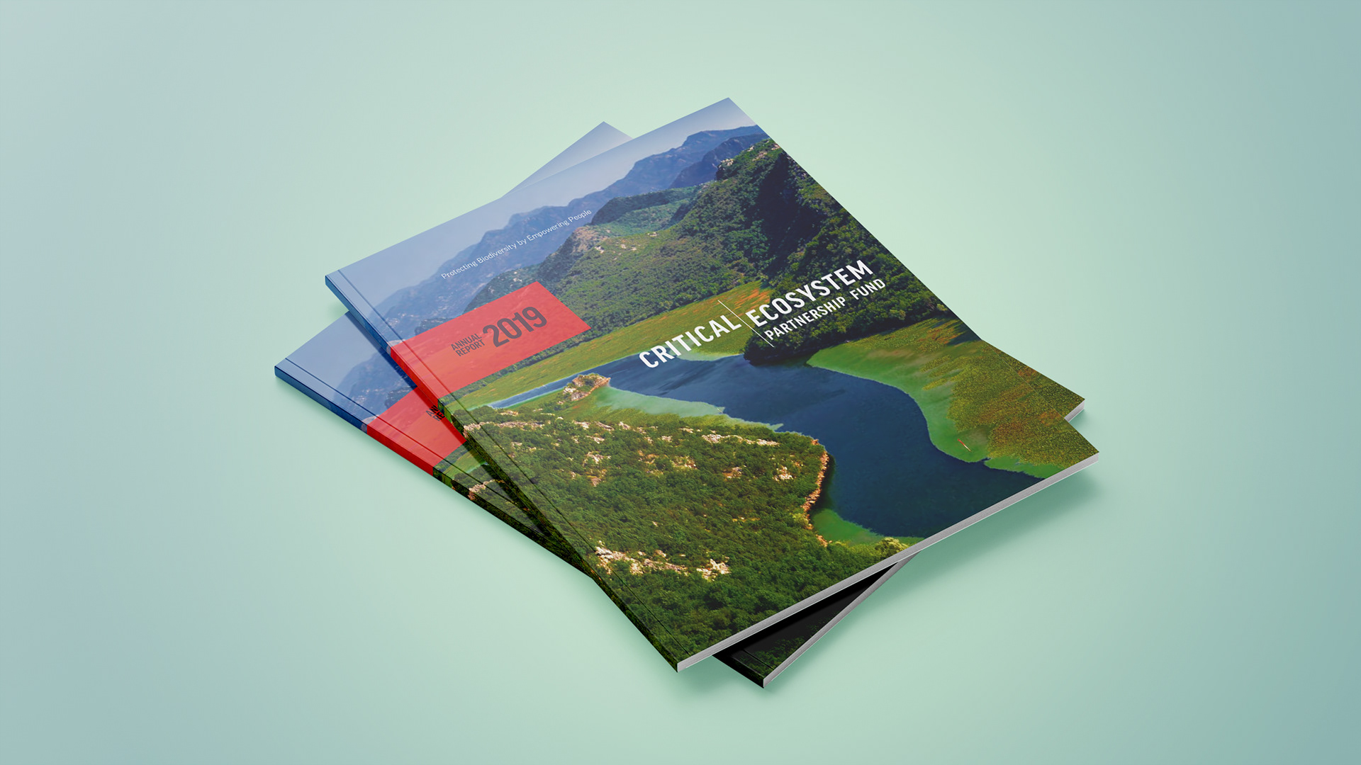 Annual Report cover showing river and valley ecosystem