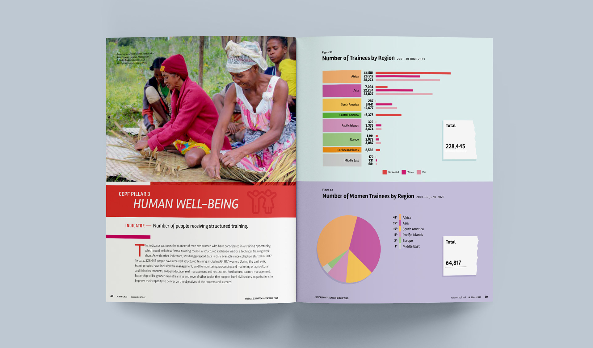 Pillar 3 intro with charts and image of women weaving baskets in Madagascar