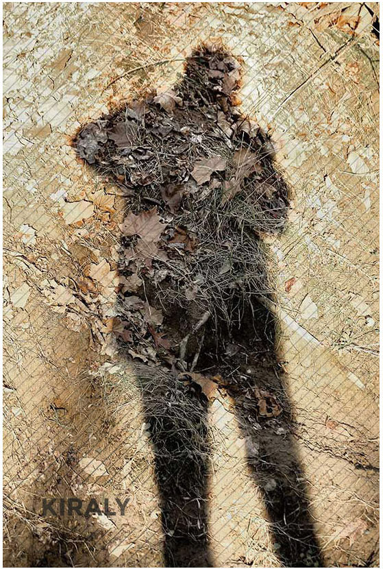 Photo of shadow cast against a river bank