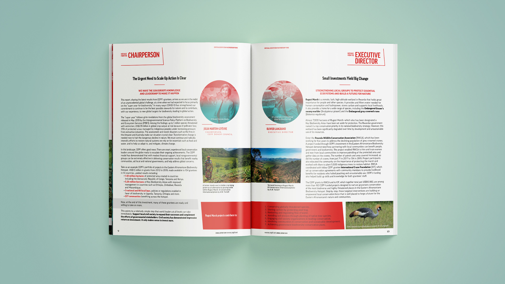 Letters from the Chairperson and Executive Director