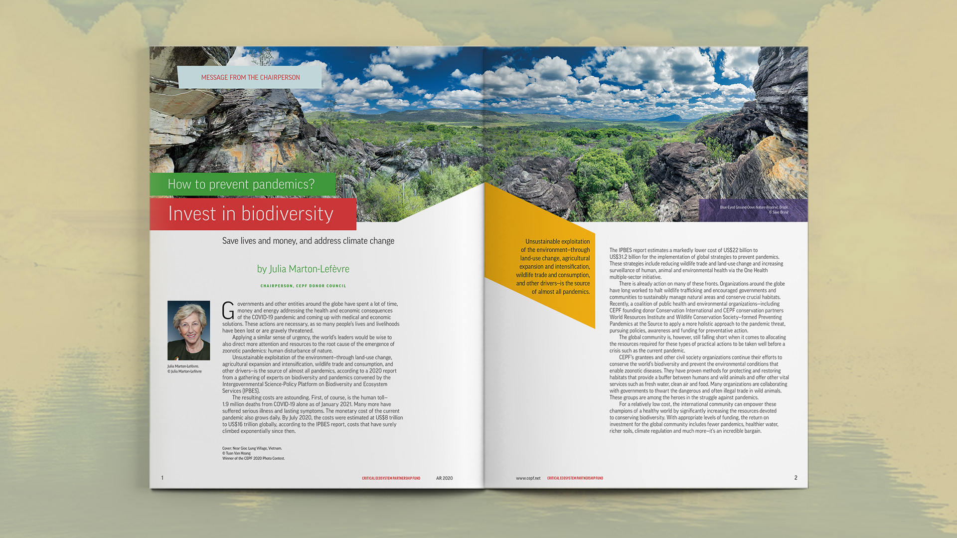 Opening spread featuring the Chairperson letter to the reader and writing about ways to prevent pandemics