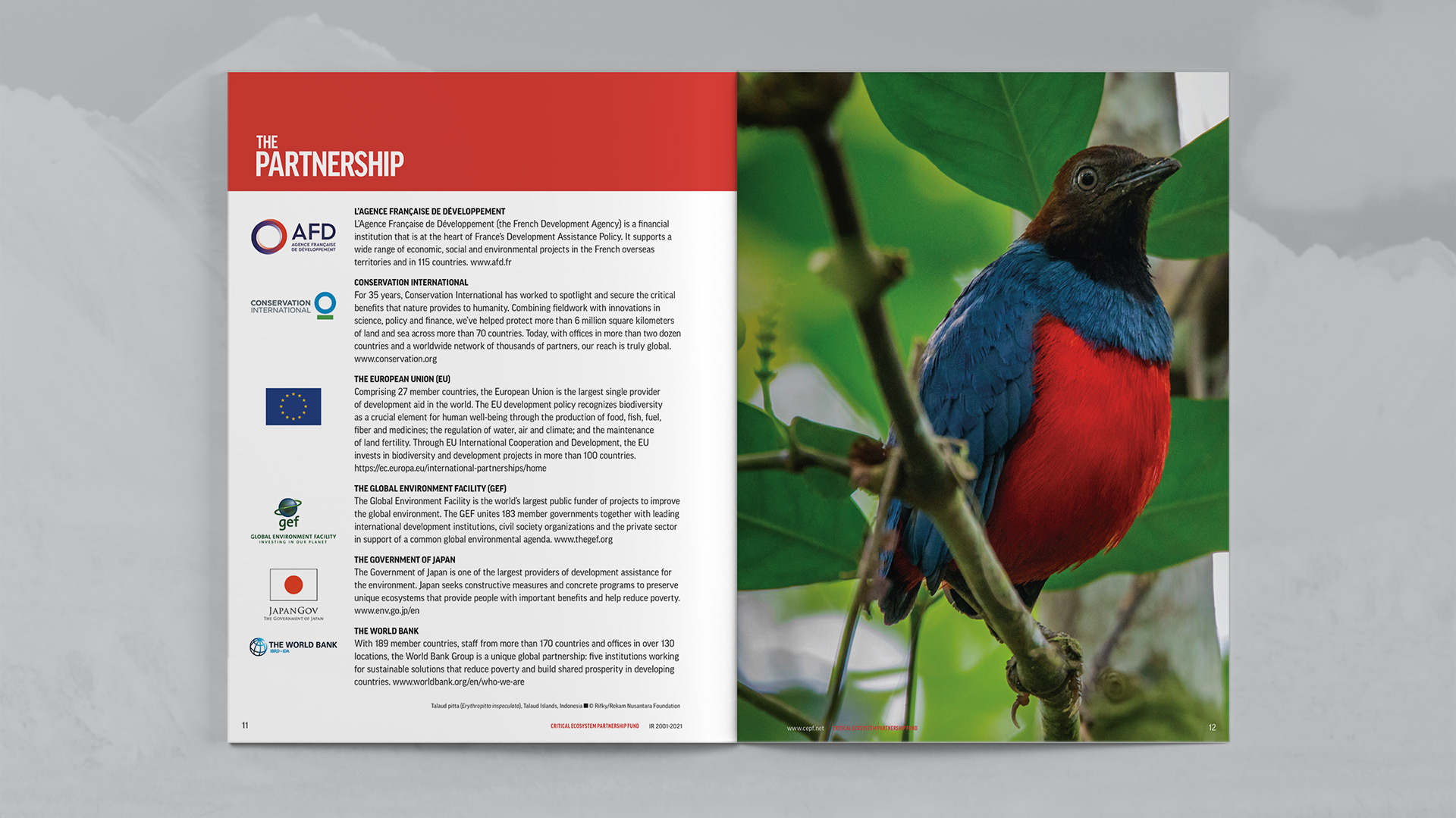 Partnership spread introducing global partners