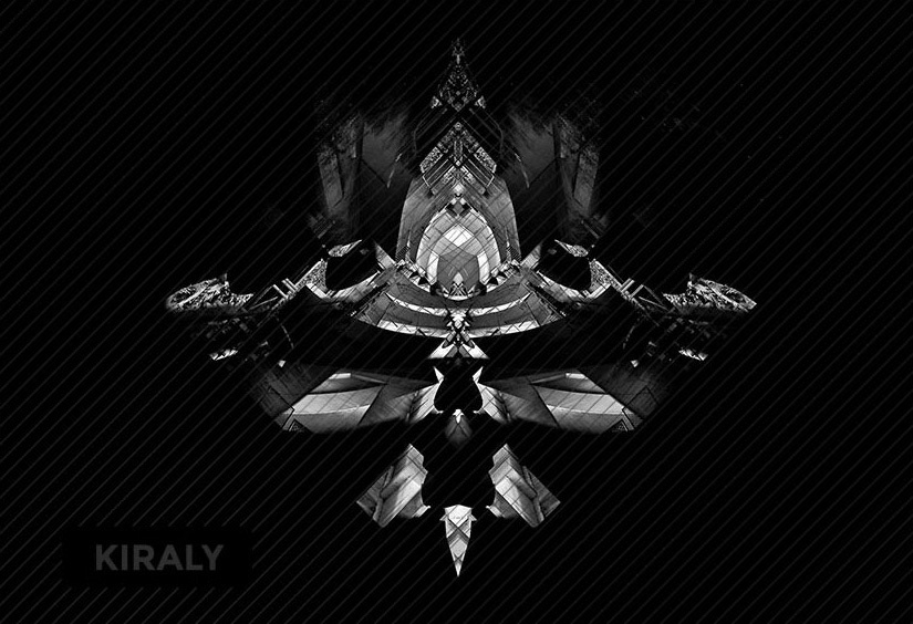 Lion image formed from bridge pictures