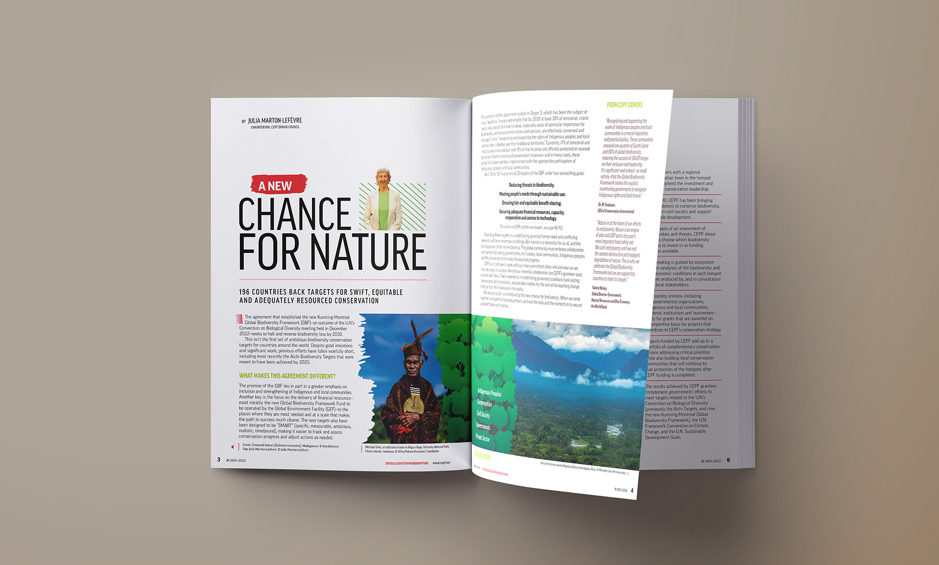 Message from the chairperson