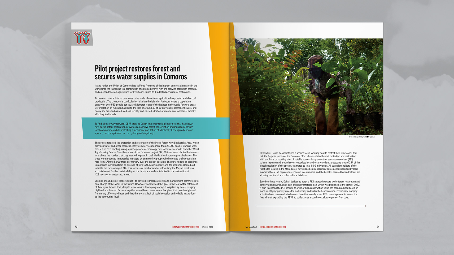 Case Study focused on pilot project restores forest and secures water supplies in Comoros