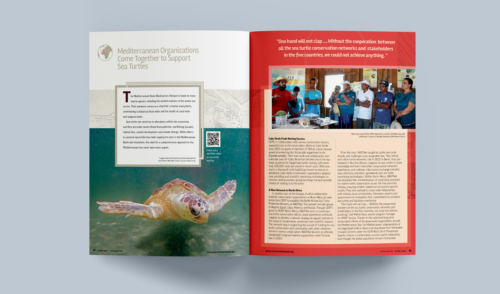 Story spread about mediterranean conservation efforts for sea turtles with an image of a Loggerhead turtle