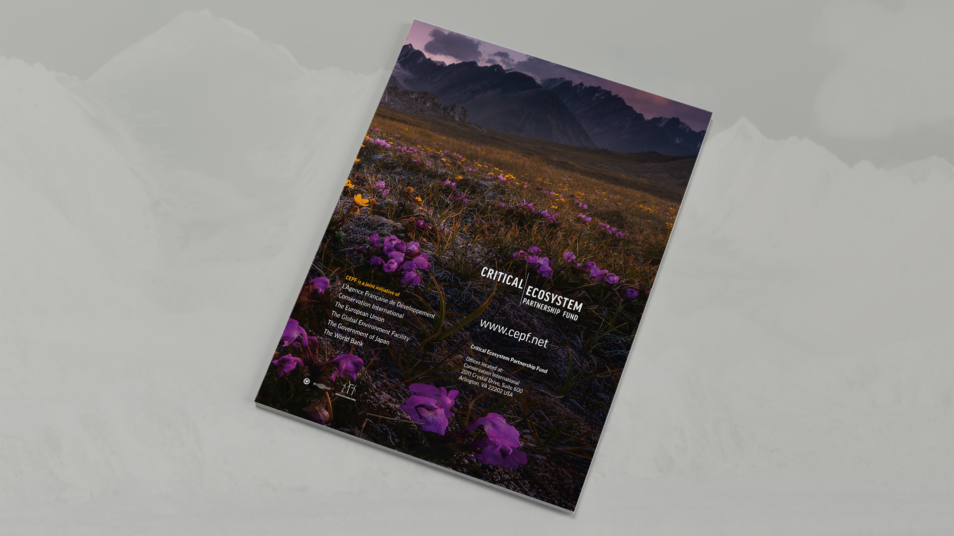 Back cover image of Barskoon Valley, Kyrgyzstan (Mountain ridge and flowered meadow at base)