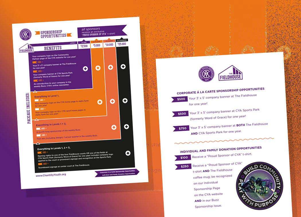 Insert detailing donation levels