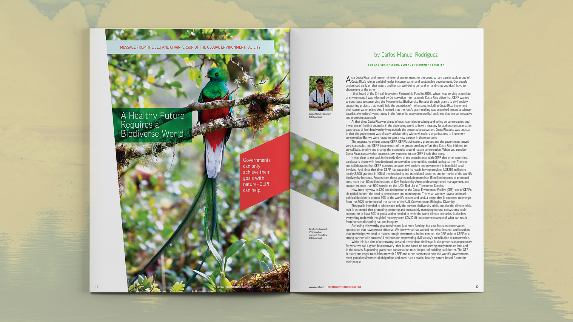 Spread featuring an image of a Resplendent quetzal along with a letter from another chairperson