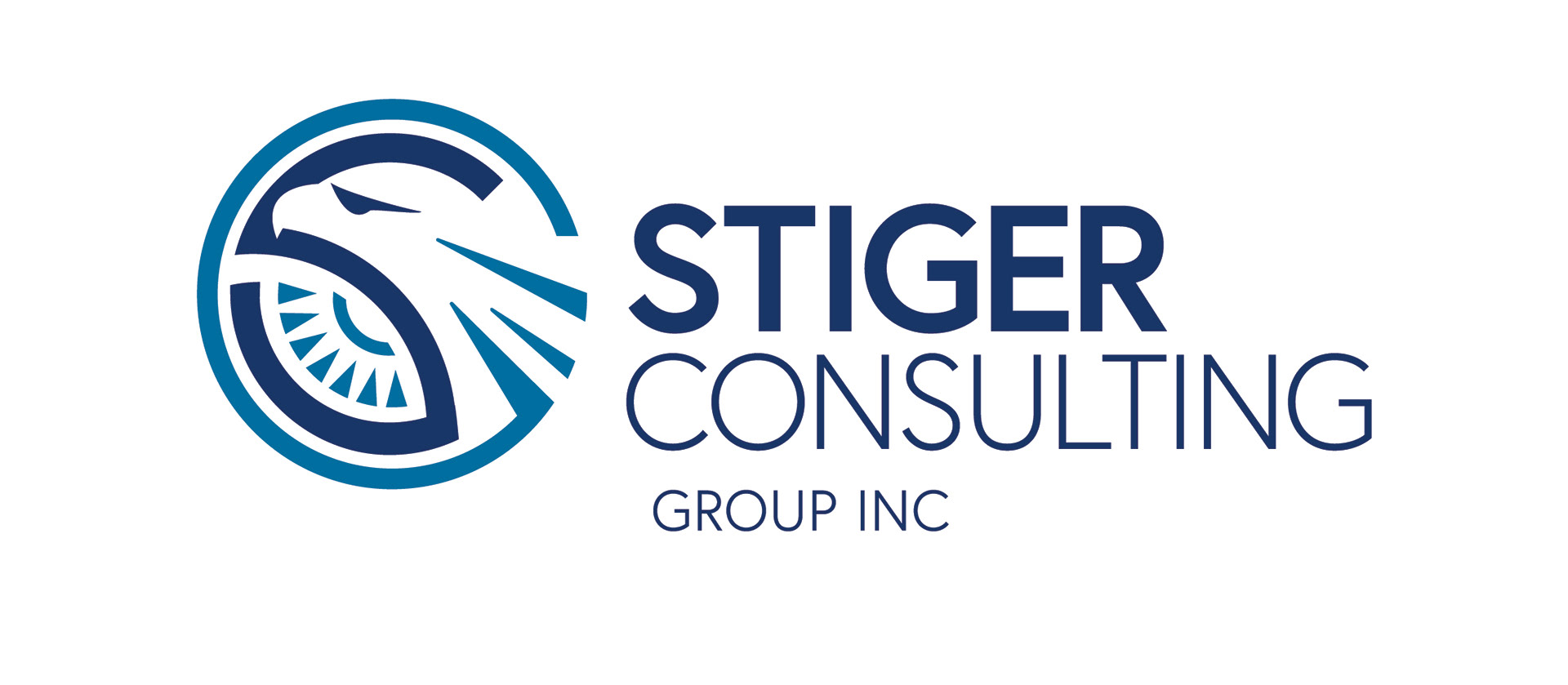 Consulting company logo