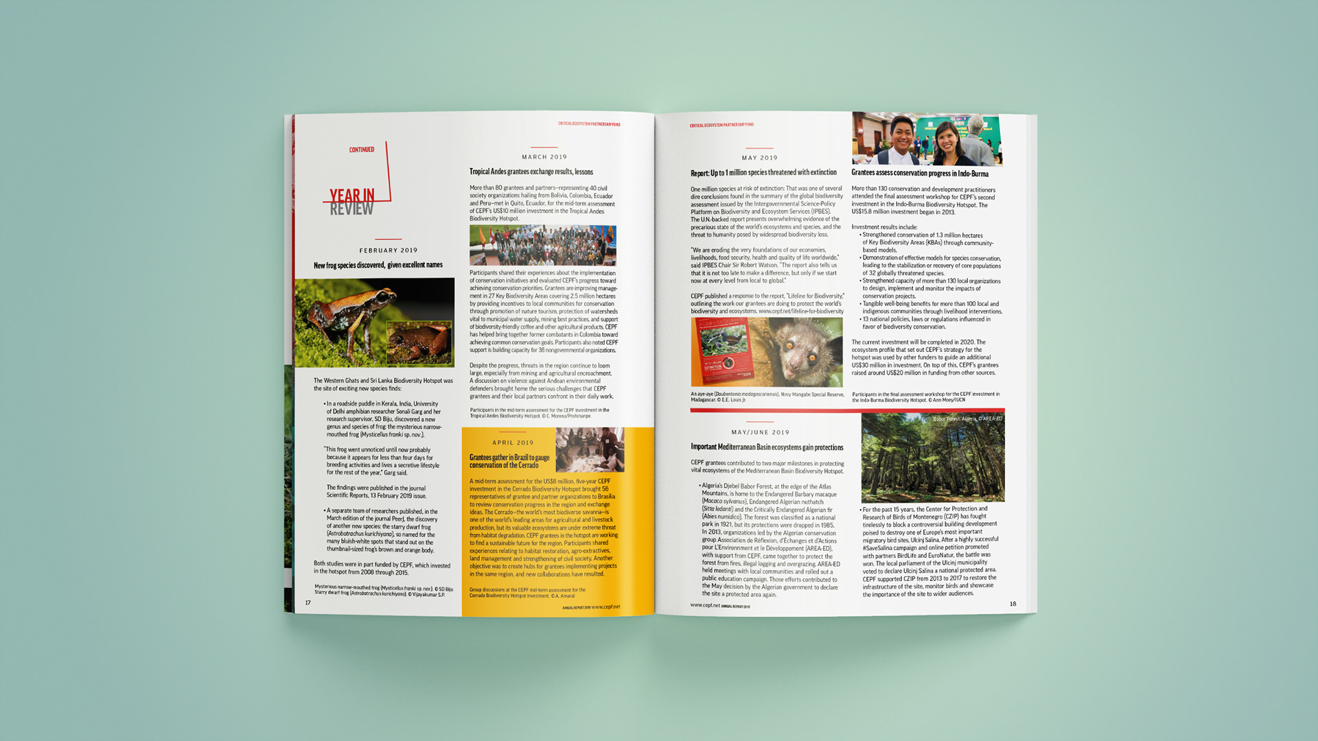 Year In Review content articles