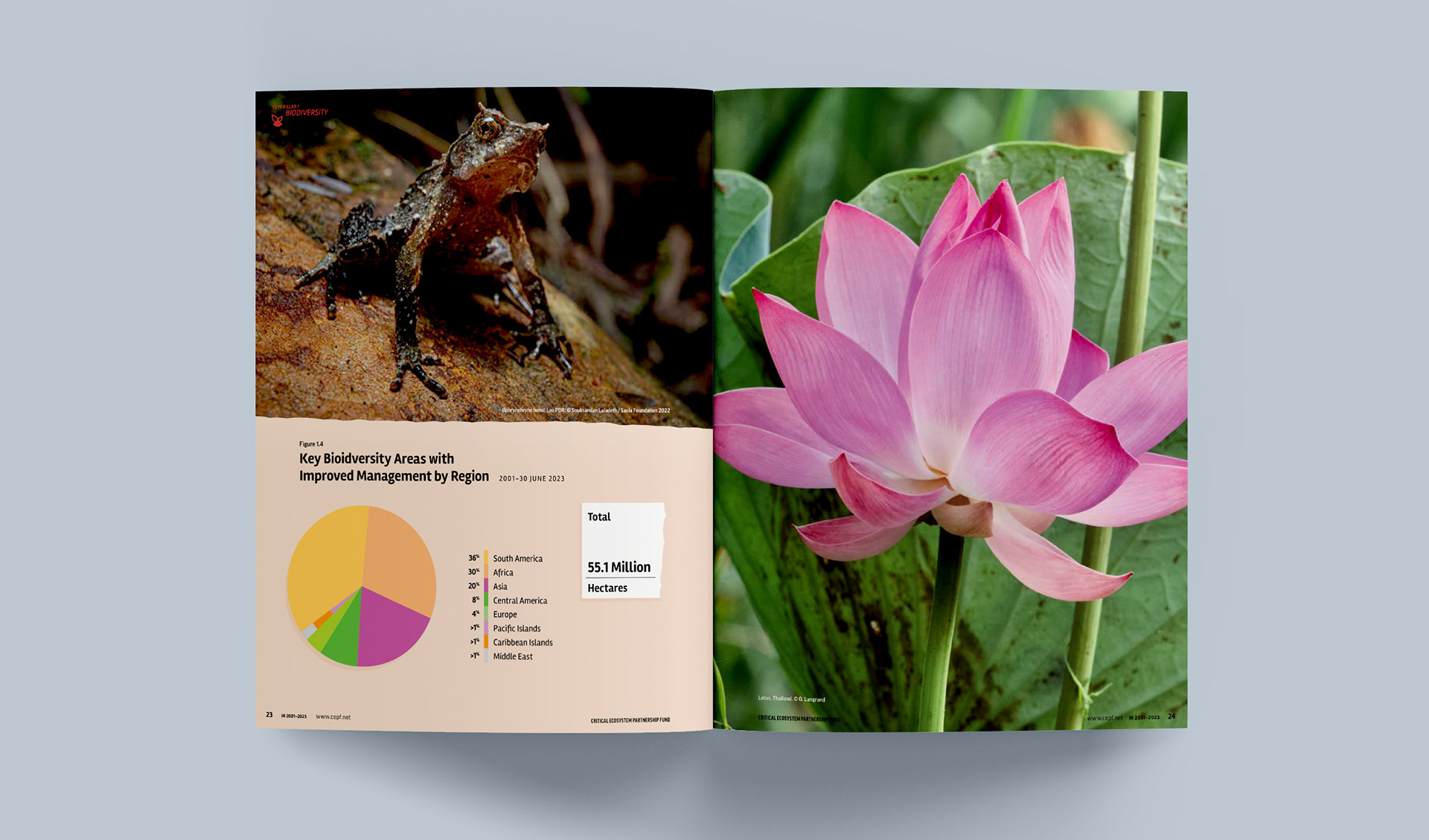 Another spread with chart details and photos of a Ophryophryne hansi and a Lotus flower