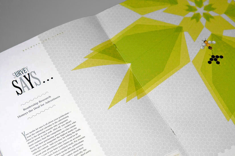 Illustration and Spread Layout