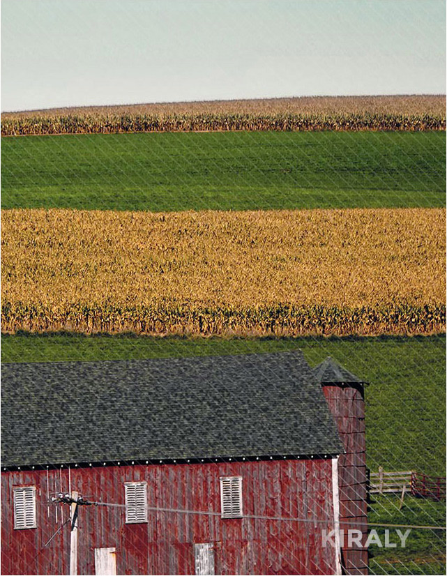 Cropped photo of red barn and rows of field and crops