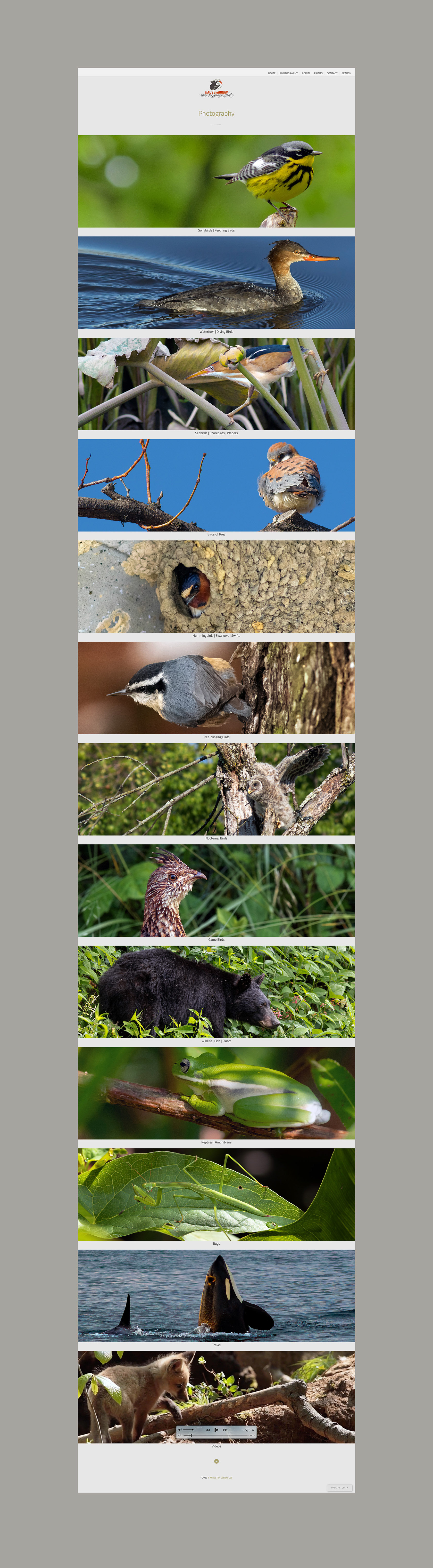 View of Photography section page