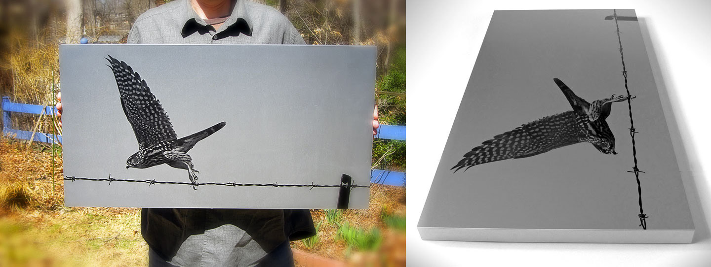 Image printed on metal substrate for photography show