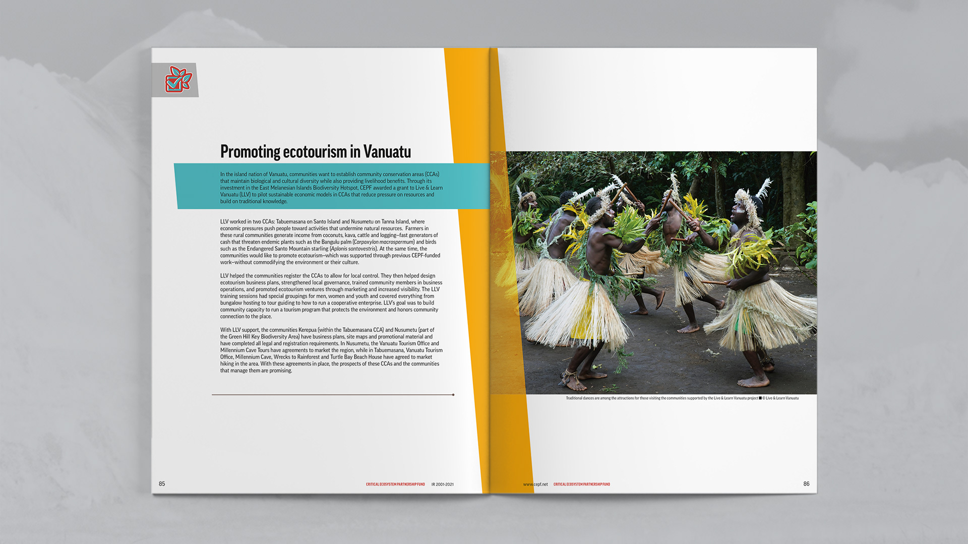 Case Study focused on promoting ecotourism in Vanuatu